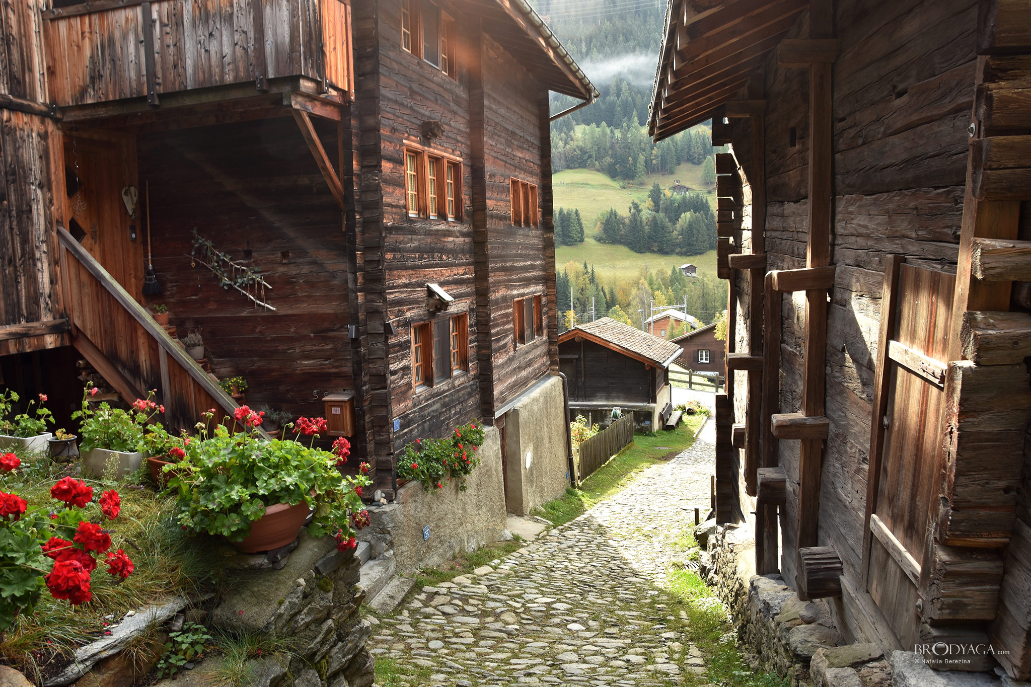 Niederwald